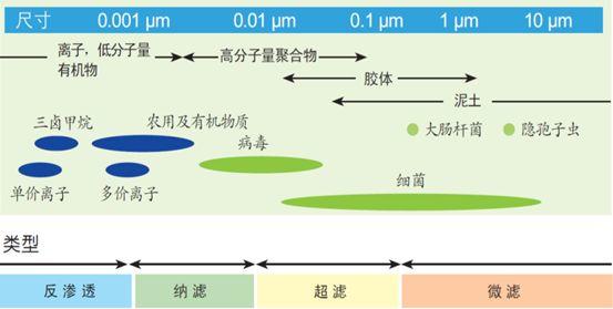 辟谣：净水能不能直接喝？没有微量元素会不会致癌？揭秘净水器的7个真相 「每日一答」154