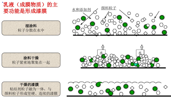 中美脱钩？国产漆到底哪里不行？高端漆为啥依赖进口？哪些原料被卡脖子了？ | 揭秘乳胶漆4