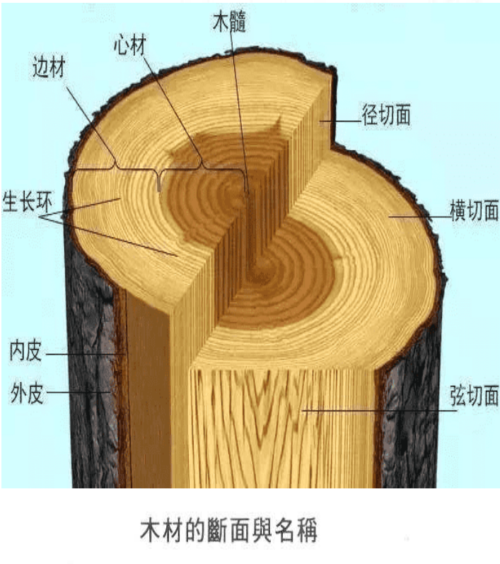 颠覆认知：实木家具不用胶？拼板到底有啥猫腻？橡木能不能做定制？弦切径切锯材啥不同？直纹山纹优劣对比！| 实木家具生产01